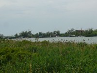 valli_di_comacchio_11.JPG