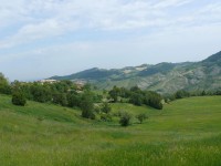 Canossa-2012_08.JPG