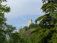 Canossa-2012_09.JPG