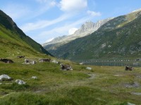 gottardo-julierpass_11.JPG