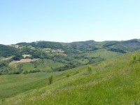 Canossa_Rossena_05.JPG