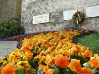 fiori_026.JPG