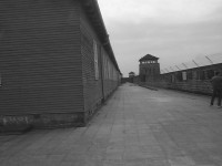 mauthausen-2002_39.JPG