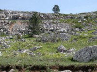 campo_imperatore_07.JPG