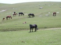 campo_imperatore_40.JPG