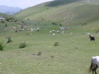 campo_imperatore_41.JPG