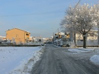 verdello_inverno_2005_01.JPG