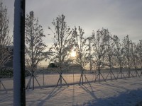 verdello_inverno_2005_02.JPG