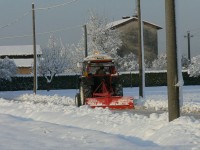 verdello_inverno_2005_11.JPG