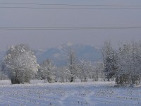 verdello_inverno_2005_16.JPG