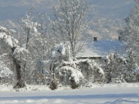 verdello_inverno_2005_28.JPG