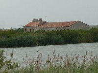 valli_di_comacchio_15.JPG